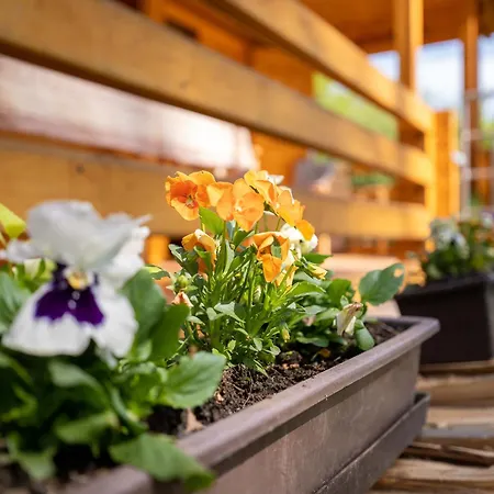 Srub Slovenice Apartamento